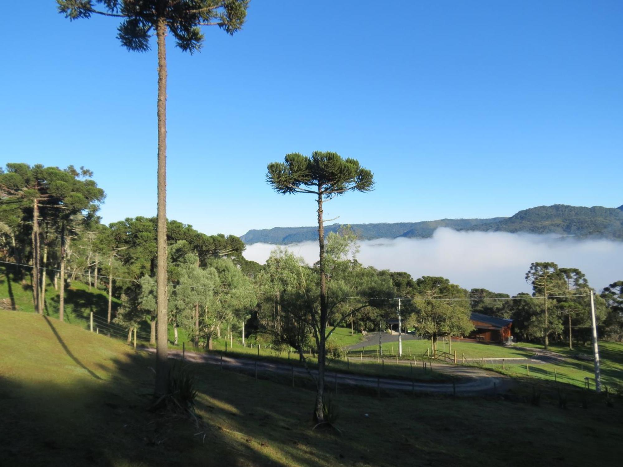 Refugio Da Montanha Villa Urubici Eksteriør bilde